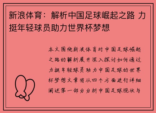 新浪体育：解析中国足球崛起之路 力挺年轻球员助力世界杯梦想